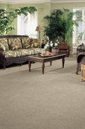 Carpet